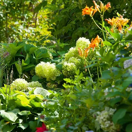 Hotel Garni Glockenstuhl Mayrhofen